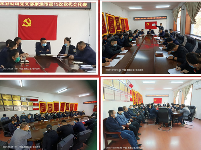 平房供水分公司召开“推选市第十五次党代会代表”党员大会