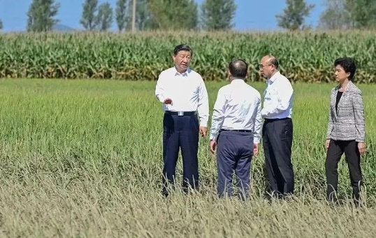 pa捕鱼官方网站发展建设集团召开学习贯彻习近平总书记在新时代推动东北全面振兴座谈会和视察我省时的重要讲话重要指示精神暨主题教育总结会议